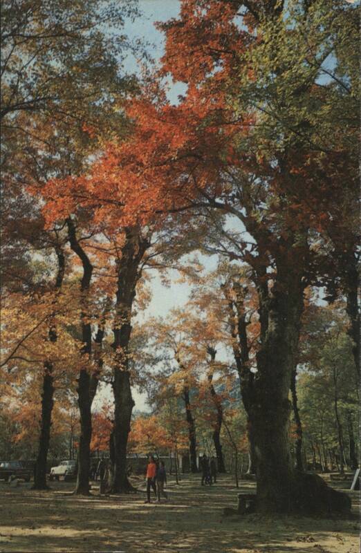 Tien Ping Hill Autumn Foliage China