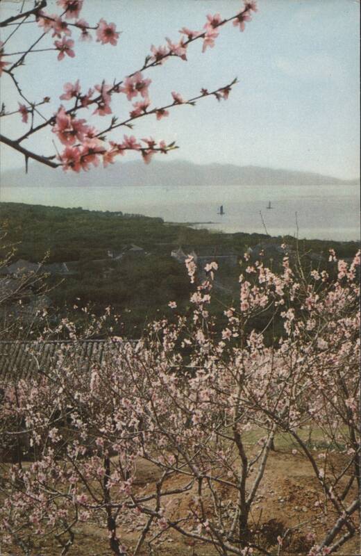 East Tung Ting Hills, Blossoms and Lake View China