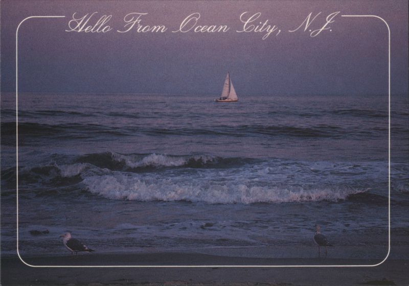 Hello From Ocean City, N.J. - Sailboat, Seagulls, Seashore New Jersey