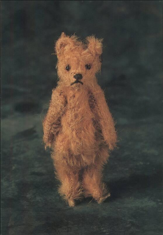 Fluffy Brown Teddy Bear 'Who Took My Clothes' Mirja De Vries