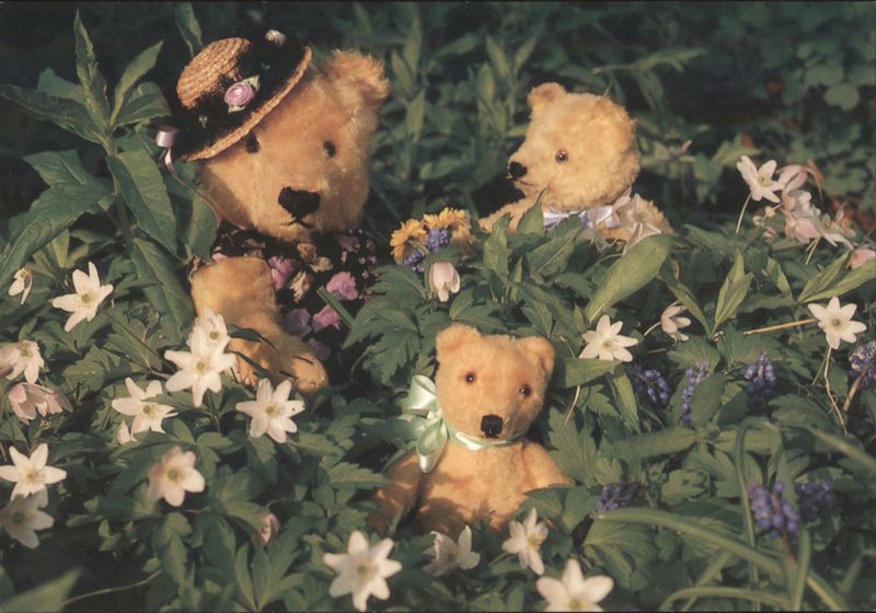 Summer Teddies in a Flowery Garden Miria De Vries Teddy Bears