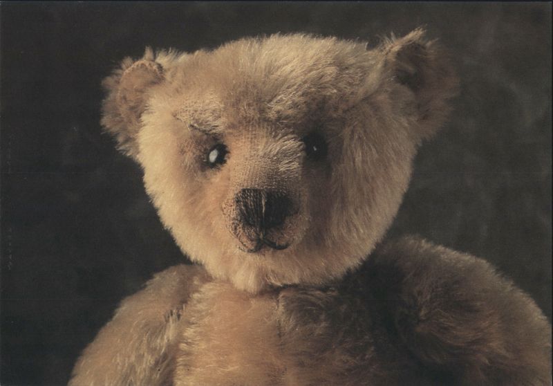 Fluffy Brown Teddy Bear Close-up Portrait Miria De Vries