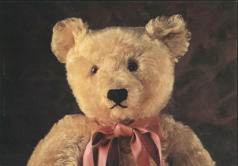 Teddy Bear Portrait with Pink Bow Mirja De Vries Teddy Bears