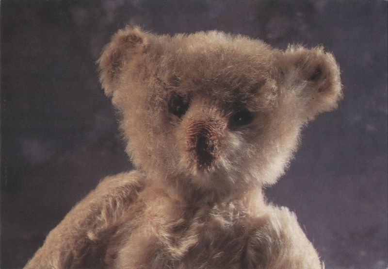 Fluffy Light Brown Teddy Bear Portrait from 'Teddyportraits' Series No. 4