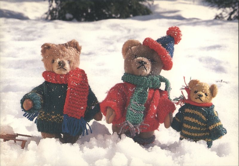Snow Teds: Three Teddy Bears Dressed in Winter Clothes in Snow