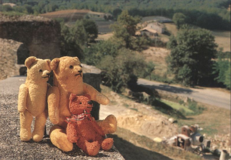 Teddy Bears on Holiday in France Mirja De Vries