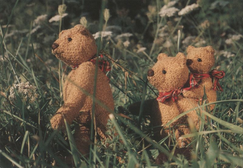 Teddies on Holiday in France Mirja De Vries