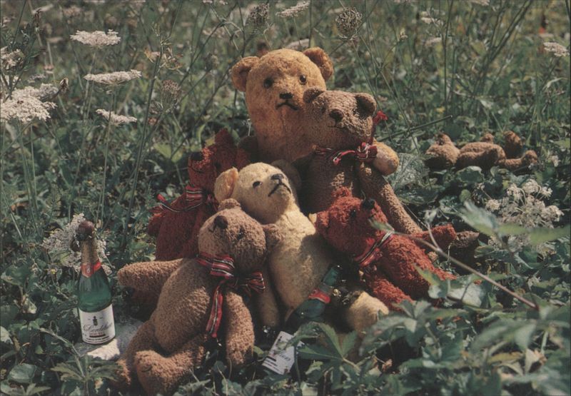 Teddy Bears on Holiday in France in a Flowery Field with Champagne Bottle