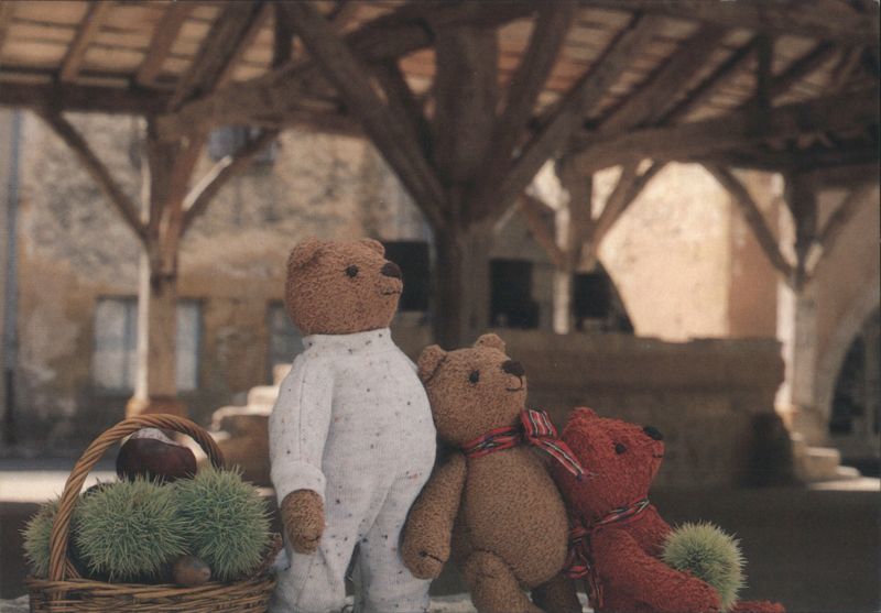Teddie Bears on Holiday in France Mirja De Vries