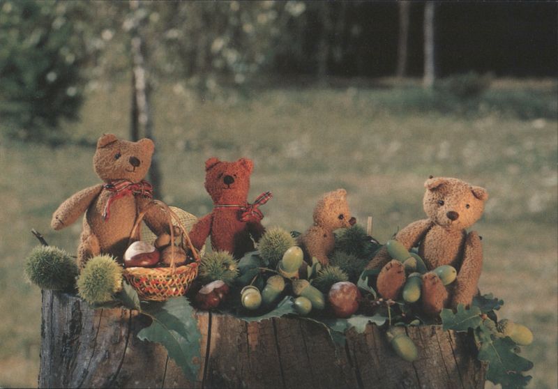 Teddy Bears on Holiday in France with Autumn Nuts Mirja De Vries