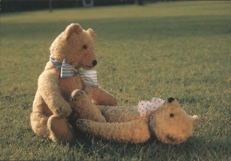 Teddy Bears 'What's the Matter, Dear?' by Mirja de Vries
