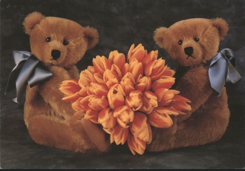 Teddy Bears Holding Orange Tulips Bouquet Mirja De Vries