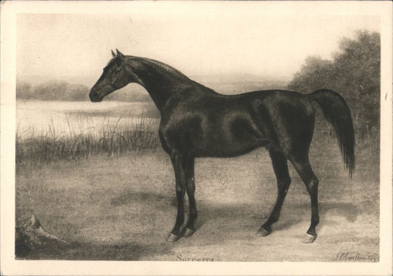 Sorcerer, the Black Horse by J.-L. Agasse Genève Switzerland