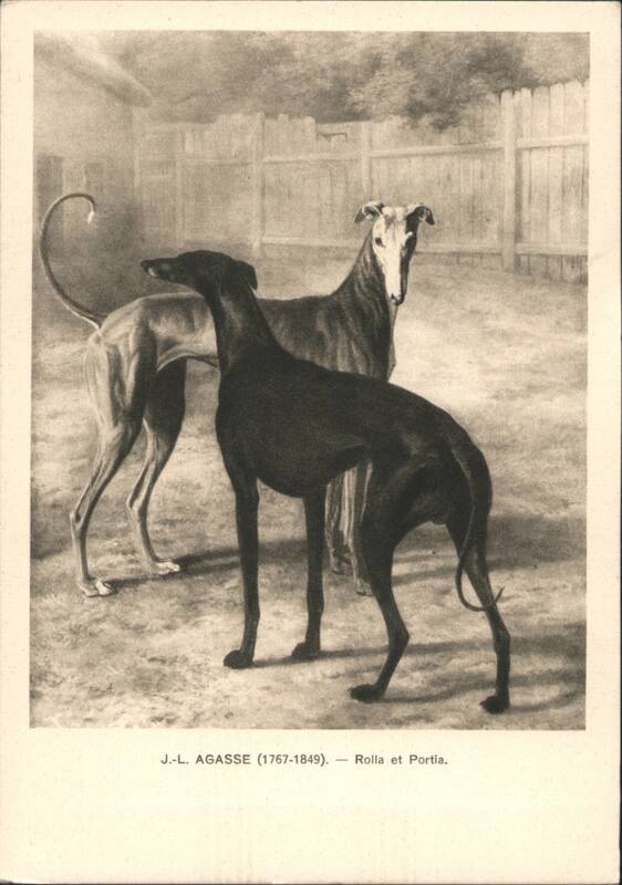 J.-L. Agasse's Rolla et Portia, Two Greyhounds J.-L. Agasse (1767-1849)