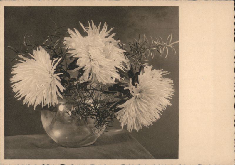 Still Life with White Chrysanthemums in Glass Vase