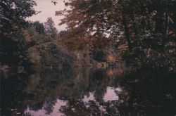 Autumn's Artistry on Cussewago Creek, Meadville, PA Postcard