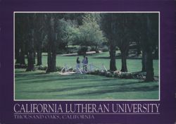 California Lutheran University Kingsmen Park Postcard