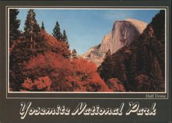 Half Dome, Yosemite National Park Postcard
