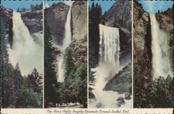 The Four Falls - Nevada, Yosemite, Vernal, Bridal Veil Postcard