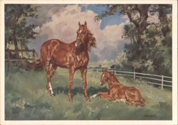 Mare and Foal Horses in Grassy Field Artwork Postcard