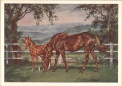 Out to Grass - Mare and Foal Grazing Postcard