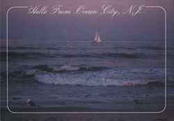 Hello From Ocean City, N.J. - Sailboat, Seagulls, Seashore Postcard