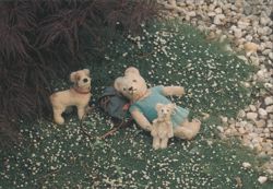 Summer Teddies and Dog in a Flowery Garden Postcard