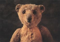 Classic Brown Teddy Bear Portrait from 'Teddyportraits' Series Postcard