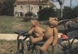 Teddy Bears on Holiday in France Postcard