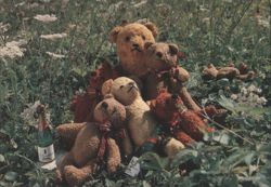 Teddy Bears on Holiday in France in a Flowery Field with Champagne Bottle Postcard