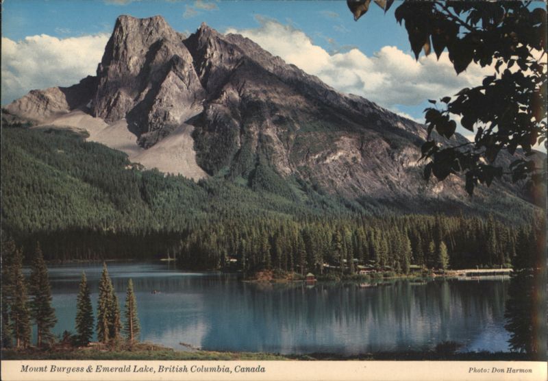 Mount Burgess & Emerald Lake, British Columbia BC Canada