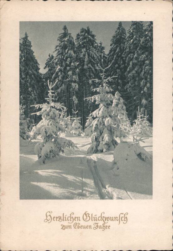 Herzlichen Glückwunsch Zum Neuen Jahre, Winter Forest Scene Waldbad Germany