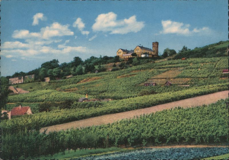 Wartberg Hill Restaurant & Tower, Heilbronn Vineyards Germany
