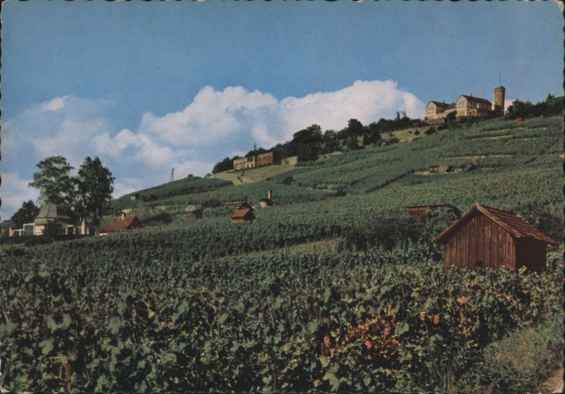 Wartberg Vineyards with Buildings, Heilbronn am Neckar Germany