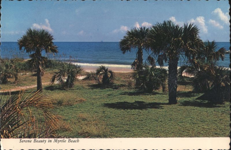 Serene Beauty, Palm Trees, Beach, Ocean Myrtle Beach South Carolina