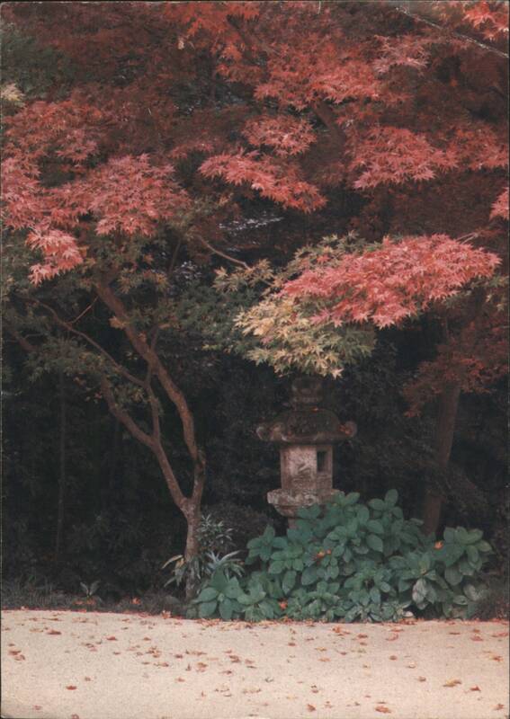 Shisen-do, Kyoto - Red Maples & Stone Lantern Garden Japan
