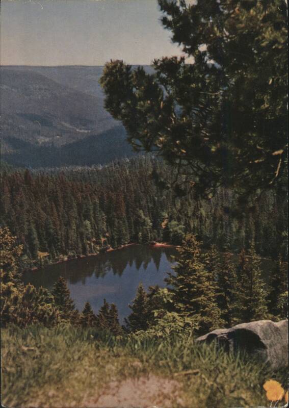 Wildsee Lake, Black Forest, Germany