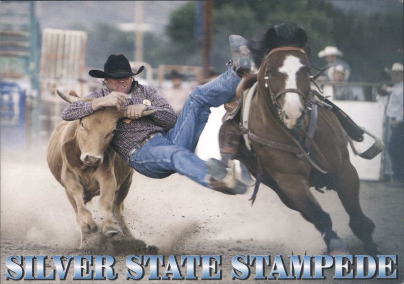 Silver State Stampede Rodeo, Elko, NV Nevada