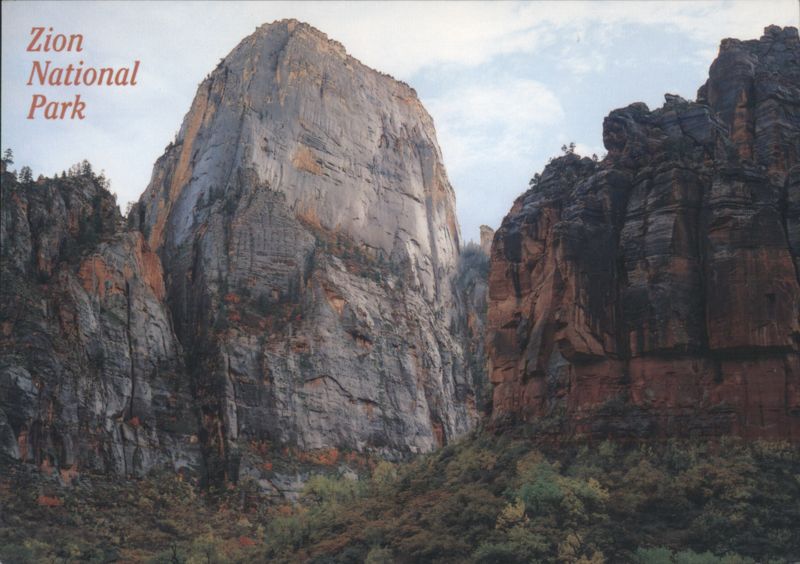 Zion National Park Great White Throne & Virgin River