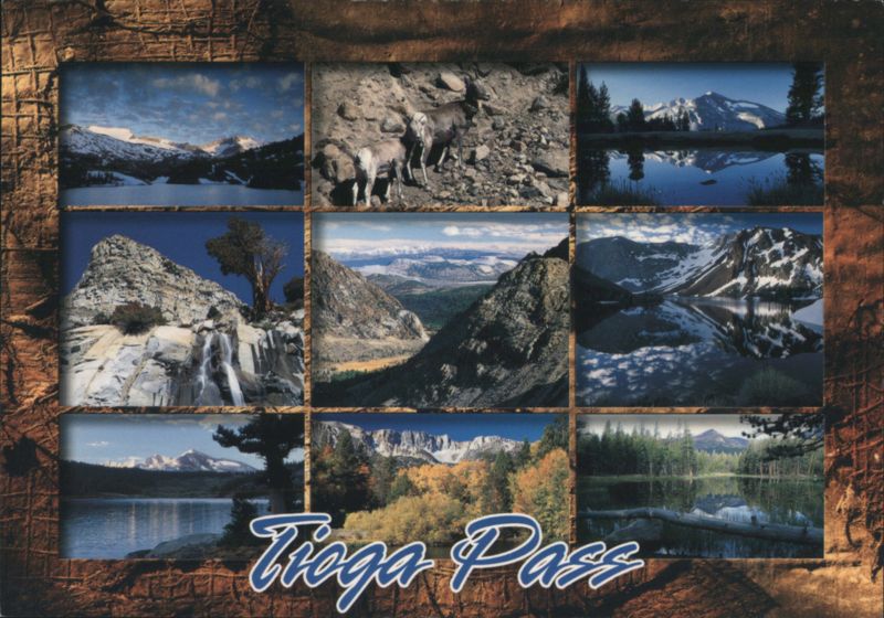 Tioga Pass, Yosemite NP, CA - Mountains, Lakes, Wildlife California