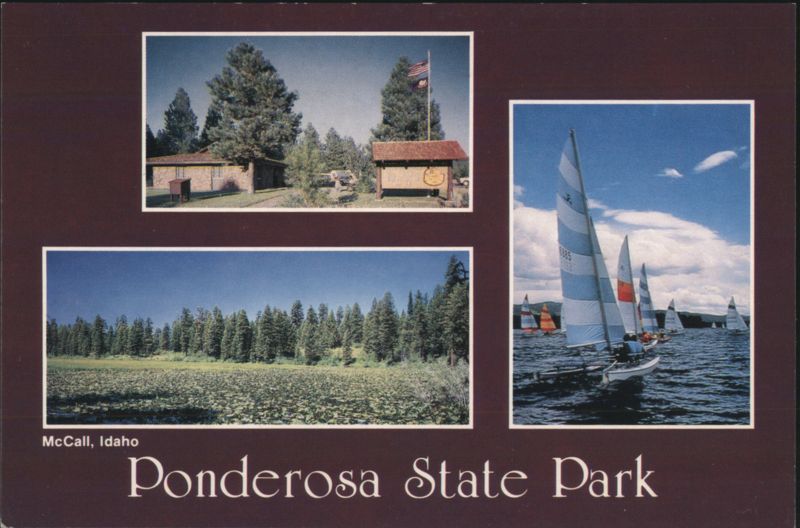 Ponderosa State Park, Sailboats, Lily Pad Marsh McCall Idaho