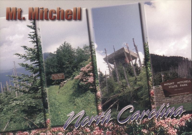 Mt. Mitchell State Park, North Carolina Catherine Joseph
