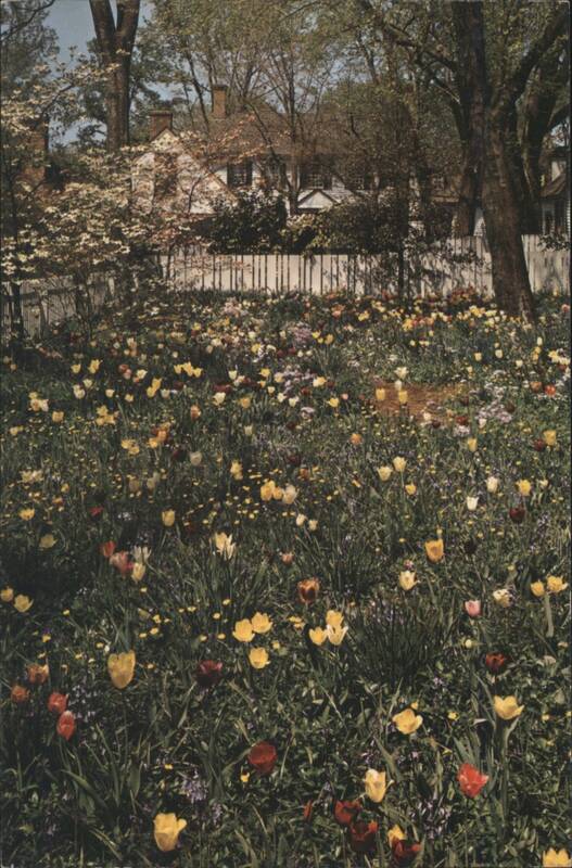 Garden of the Dr. Barraud House, Williamsburg, VA Virginia
