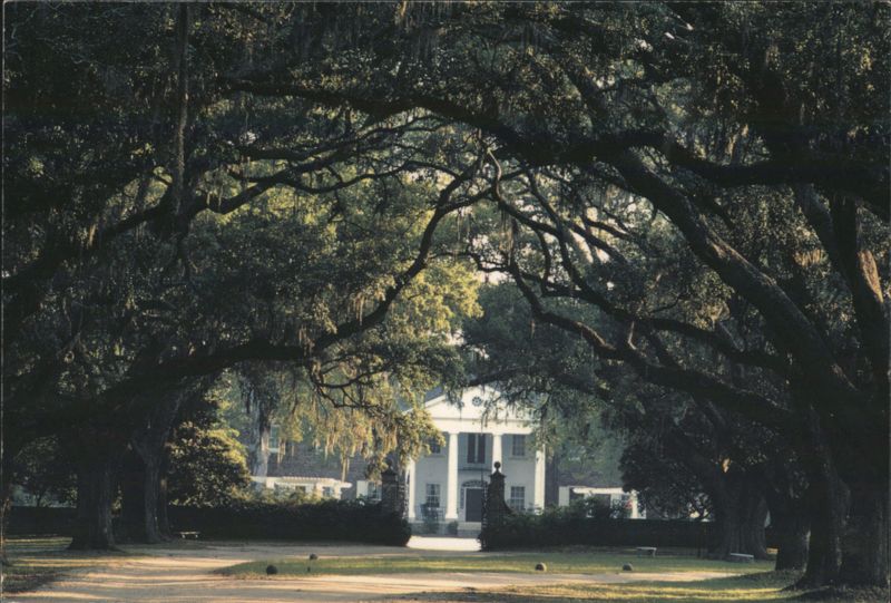 Boone Hall Plantation, Charleston, SC - Oak Lined Drive South Carolina
