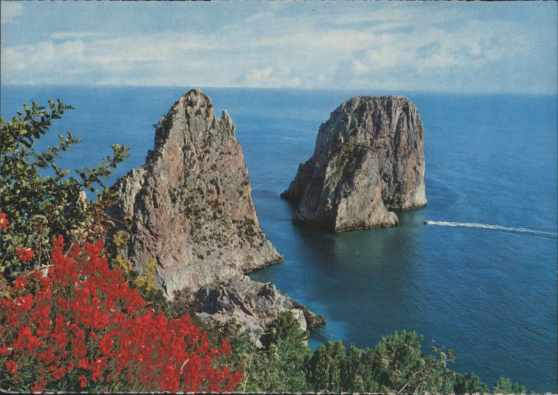 Capri Faraglioni Sea Stacks with Red Flowers Italy