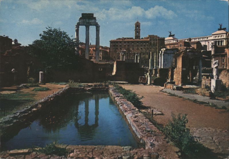 Roman Forum Ruins with Pool, Rome Italy
