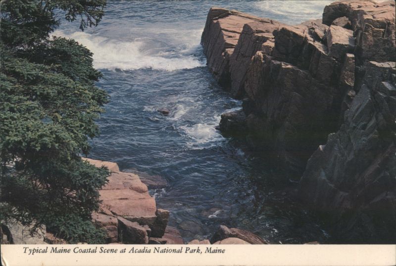 Maine Coastal Scene, Acadia National Park
