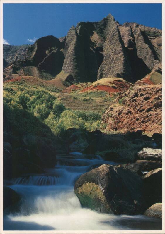 Kauai's Beautiful Stream in the Early Morning Sun Hawaii