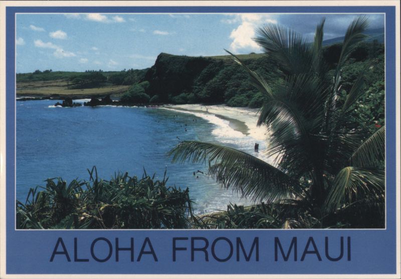 Maui Beach with Palm Trees, Aloha From Maui Hawaii
