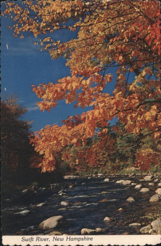 Swift River, NH, Autumn Foliage New Hampshire Loran Percy